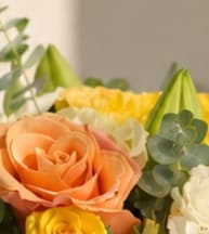 Summer Citrus Serenade photo 3