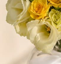 Summer Citrus Serenade photo 4